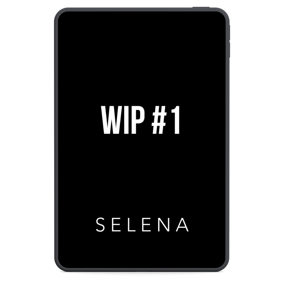 WIP #1